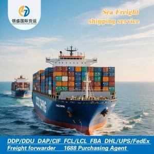 China to Us Ocean Freight Forwarding, DDP Logistics Transportation, Competitive Freight Rates