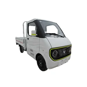 EEC Certification/Micro Electric Cargo Vehicle/Electric Vehicle/Electric Truck