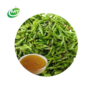 Green Tea Extract
