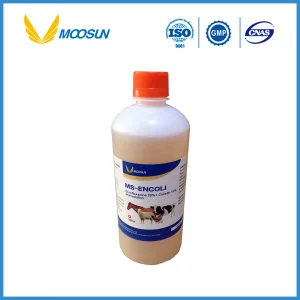 Veterinary Medicine Enrofloxacin +Colistin Sulfate Oral Solution Animal Drug