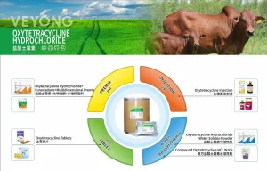 High Purity Pharmaceutical API Oxytetracycline HCl Oxytetracycline Base 99% From GMP Manufacturers
