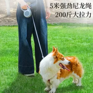 Pet Leashes