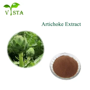 Venda Quente Extrato Herbal Cynara Scolymus Cinarina Extrato de Alcachofra Extrato de Folha de Alcachofra