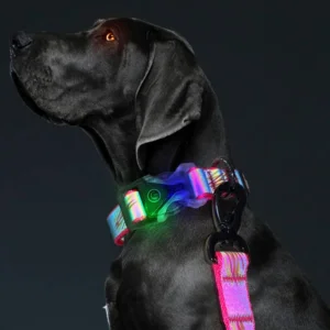 Multicolor Fashion Adjustable Luminous Reflective Safety LED Pet Collar Dog Collar