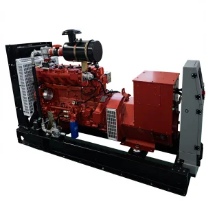 High Power Efficiency 95% Biogas Generator 60kW Natural Gas With Remote/Auto Start System DC 220V IP23 Water Cooling