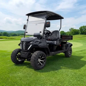 2 Seater Street Legal Electric Golf Cart