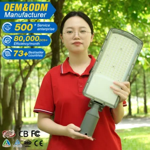 Parking Lot Road Lighting Outdoor IP66 Waterproof