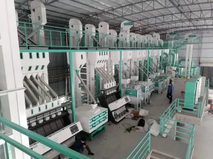Venta Directa de Fábrica Conjunto Completo de Línea de Procesamiento de Arroz