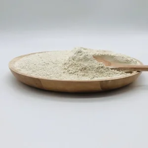 Wheat Protein Meal