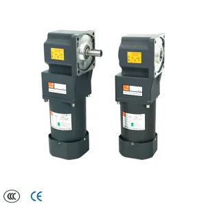 Gear Motor