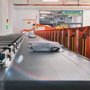 High-Precision Automated Sorting Line with Integrated Weighing System