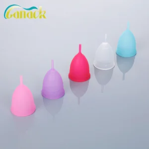 Collapsible Cup