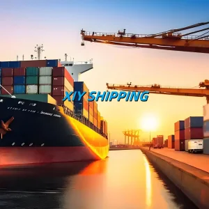 DDU DDP Sea Shipping Service From Shenzhen Guangzhou to Mexico City