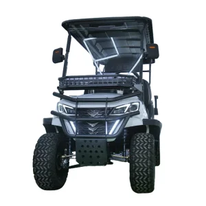 Factory Custom OEM ODM CE Approved Electric Golf Cart Lifted Lithium Battery 2 4 6 Seater Club Car Golf Carts