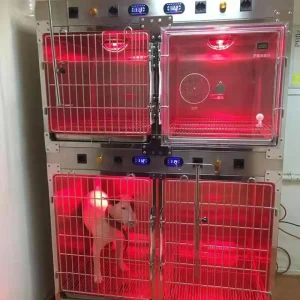 Pujia Infrared Therapy Lamp for Veterinary ICU Cat Kennel Care Pjdy-03 Stainless Steel Veterinary Pet Cage