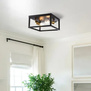 Amazon Best Selling Home Ceiling Lamp Black Iron Material Light