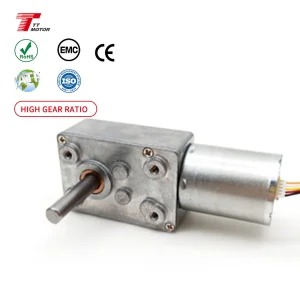High Torque Reducer Small Hollow Shaft Self-lock Engine 24V 12V Dc Micro Electric Drive Worm Gear Motor