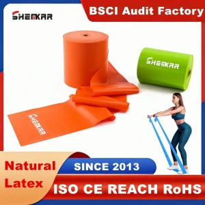 Custom Color 5 Different Levels Resistance Fitness Elastic Bands Set for Yoga Pilates Workout Physiotherapy Strength Training