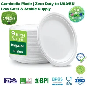 9inch Compostable Sugarcane Paper Plates
