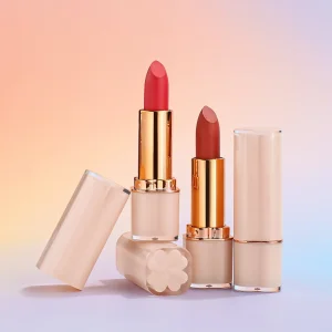 Professional Custom Makeup Super Soft Cosmetics and Beauty Lipstick