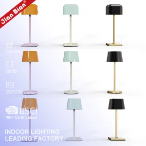 Modern Minimalist Style Rechargeable Cordless LED Table Lamp (Designed for Restaurants)