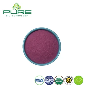 Polvo de Superalimento de Acai Orgánico para Máximos Beneficios para la Salud
