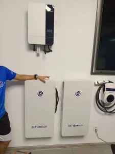 Fast Delivery 10.2kwh Lithium Battery 48V Eleshell Ls-10.2K Storage Energy Power Wall Lithium Battery for Solar System