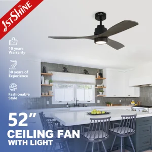 1stshine Ceiling Fan with Lamp