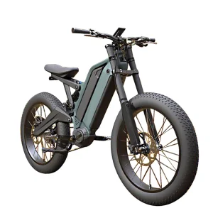 24 Inch Fat Tire E-Bike