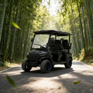 Assentos de Luxo Mais Largos Casco Preto Modelo 4 Carrinho de Golfe Elétrico