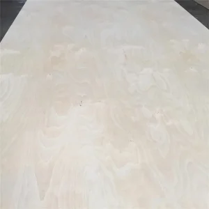 Partition-Grade 12mm Structural Plywood with Impact-Resistant Core