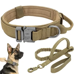 Conjunto de Collar y Correa Táctica Personalizada para Perros, Correa de Nylon Bungee Ajustable, Collar y Correa de Alta Resistencia para Paseo y Entrenamiento