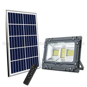 Paris Motion Sensor Solar Light