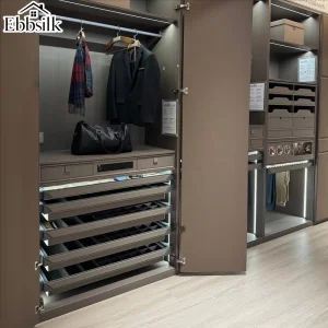 Custom Walk-In Closet Cabinet