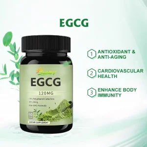 Green Tea Extract Egcg Capsule
