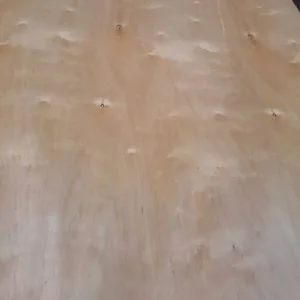 UV Phenolic Plywood
