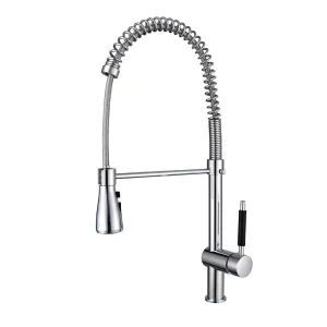 Sink Faucet Kitchen Pull out Hot and Cold Water Dual Bridge Faucet Eco-Friendly Tap Flexible Hose Spring Spray Faucet