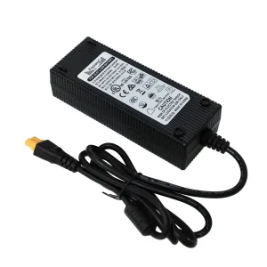 12V 24V 36V 42V 2A 3A 4A 5A Portable E-Bike Charger with High Performance and Active Series
