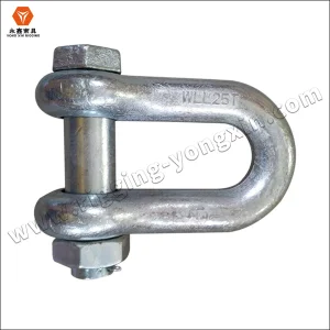 Norway Offshore D Shackle