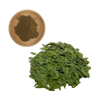Chlorogenic Acid Eucommia Leaf Extract