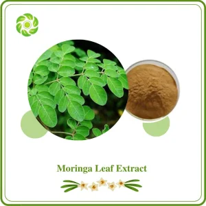 Extrato de Moringa