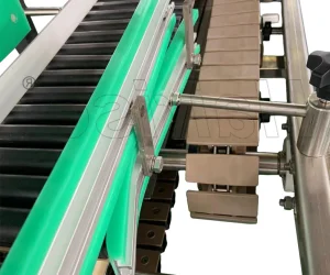 Chain Conveyor