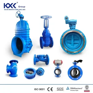 DIN BS ANSI Flange DN50-600 DIN3202 BS5163 F4 Gate Valve Brass Bonnet Di Body Resilient Seat Check Valve/Control Valve/Water Valve/Gate Valve