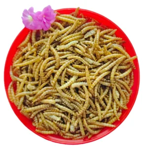 High Protein Feed Dried Mealworm Fishing Meal