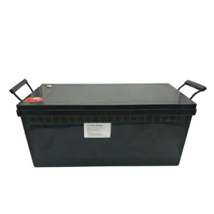 Manufacturer Supply Large Capacity Lithium-Ion/ LiFePO4 Battery 48V 200ah Battery Pack for Forklift with BMS