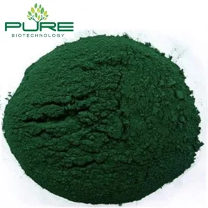 Organic Spirulina Protein Powder for Boosting Stamina and Energy