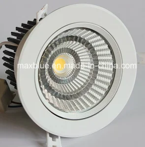 Cut Hole Size 140mm 30W 35W CREE/Epistar COB LED Downlights