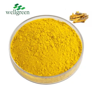 Berberine Hydrochloride 99% HPLC