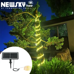 Cheap Warm White LED Solar Garden Lights