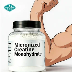 Customize Formula Sports Nutritional Supplement Creatine Monohydrate Powder